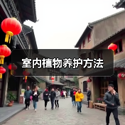 室内植物养护方法（图4）