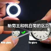 胎菊王和杭白菊的区别（图3）