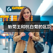 胎菊王和杭白菊的区别（图4）