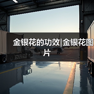 金银花的功效|金银花图片（图3）