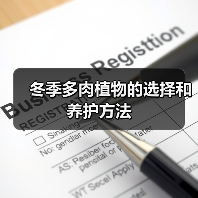 冬季多肉植物的选择和养护方法（图3）