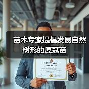 苗木专家提倡发展自然树形的原冠苗（图3）