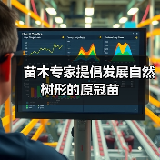 苗木专家提倡发展自然树形的原冠苗（图2）
