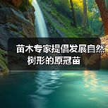 苗木专家提倡发展自然树形的原冠苗（图1）