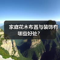 家庭花木布置与装饰有哪些好处?(图1) 家庭花木布置与装饰有哪些好处?(图1)