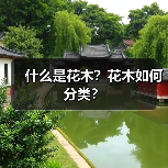 什么是花木?花木如何分类?(图2) 什么是花木?花木如何分类?(图2)