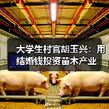 大学生村官胡玉兴：用结婚钱投资苗木产业（图4）