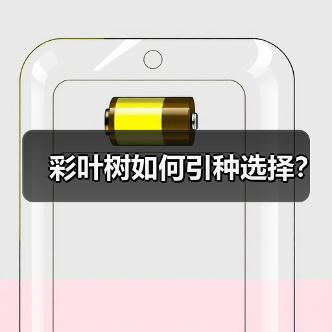 彩叶树如何引种选择？（图2）