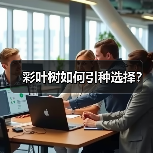 彩叶树如何引种选择？（图1）