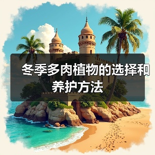 冬季多肉植物的选择和养护方法（图2）