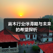 苗木行业停滞期与未来的希望探析（图2）