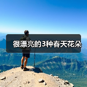 很漂亮的3种春天花朵（图2）