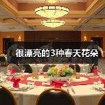 很漂亮的3种春天花朵（图1）