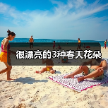 很漂亮的3种春天花朵（图3）