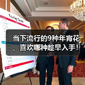 当下流行的9种年宵花，喜欢哪种趁早入手！（图3）