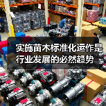 实施苗木标准化运作是行业发展的必然趋势（图4）