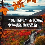 “潢川金桂”王长海苗木种植的传奇道路（图2）