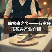 仙客来之乡——石家庄市花卉产业介绍（图4）