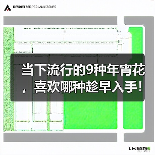 当下流行的9种年宵花，喜欢哪种趁早入手！（图1）