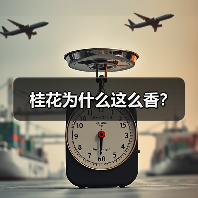 桂花为什么这么香？（图2）