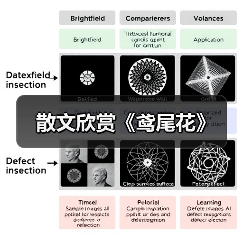 散文欣赏《鸢尾花》（图1）