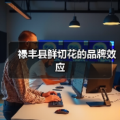 禄丰县鲜切花的品牌效应（图4）