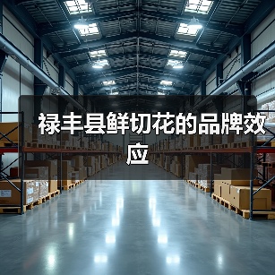 禄丰县鲜切花的品牌效应（图1）