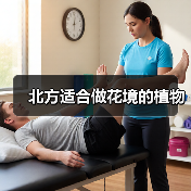 北方适合做花境的植物（图3）