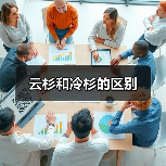 云杉和冷杉的区别（图2）