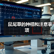 鼠尾草的种植和注意事项（图3）