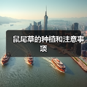 鼠尾草的种植和注意事项（图4）