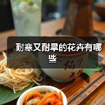 耐寒又耐旱的花卉有哪些（图3）