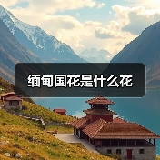 缅甸国花是什么花（图2）
