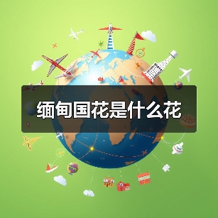 缅甸国花是什么花（图1）