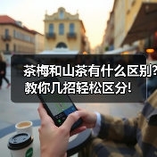 茶梅和山茶有什么区别?教你几招轻松区分!（图4）