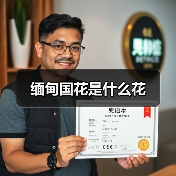 缅甸国花是什么花（图4）
