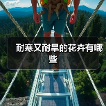 耐寒又耐旱的花卉有哪些（图4）