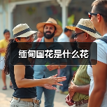 缅甸国花是什么花（图3）