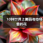 10种世界上美丽与奇特最的花（图4）
