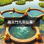 南天竹几年结果？（图2）