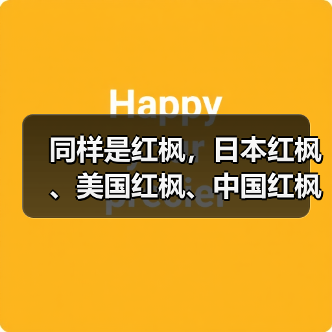 同样是红枫，日本红枫、美国红枫、中国红枫到底有何不同？（图4）