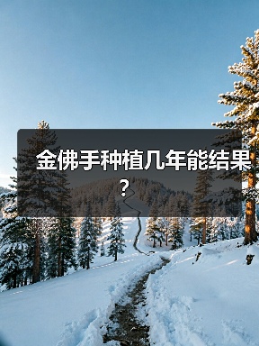 金佛手种植几年能结果？（图1）