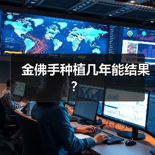金佛手种植几年能结果？（图4）