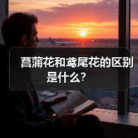 菖蒲花和鸢尾花的区别是什么？（图4）