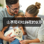 山茶花和杜鹃花的区别（图4）