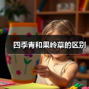 四季青和果岭草的区别（图3）