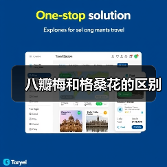 八瓣梅和格桑花的区别（图2）