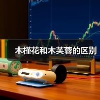木槿花和木芙蓉的区别（图1）