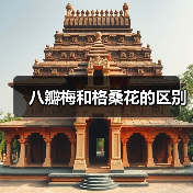 八瓣梅和格桑花的区别（图1）