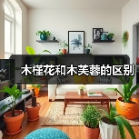 木槿花和木芙蓉的区别（图4）